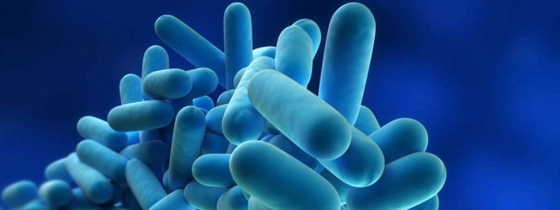 Legionella Prevention Services in Birmingham